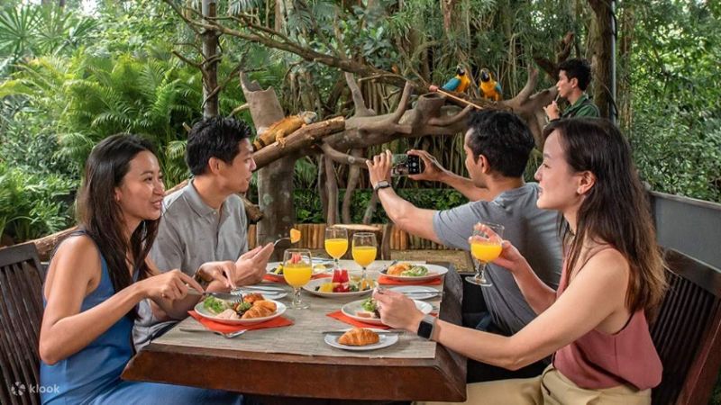 ăn sáng cạnh động vật hoang dã tại singapore zoo
