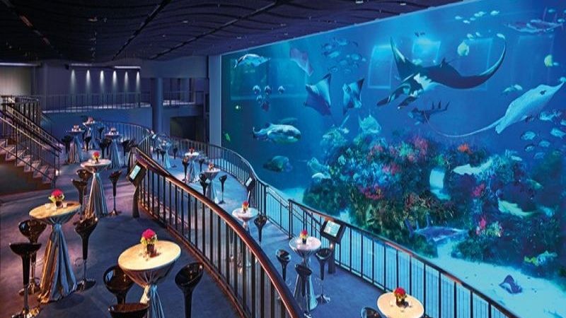ăn tối ở sea aquarium có gì