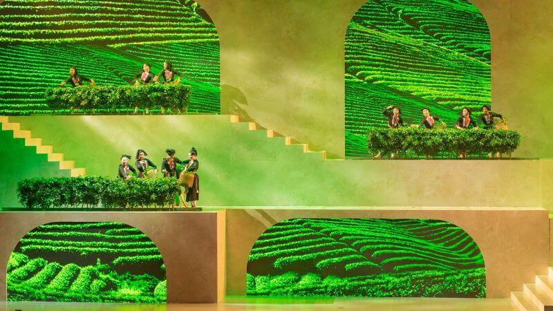 Các cô gái địu gùi trên lưng vui vẻ nâng niu búp chè (Ảnh: Sưu tầm)