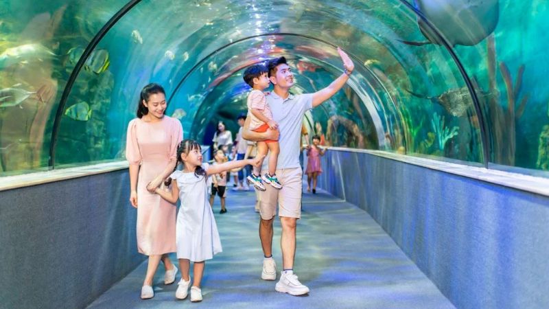 Check-in dưới m&aacute;i v&ograve;m d&agrave;i tới 90m