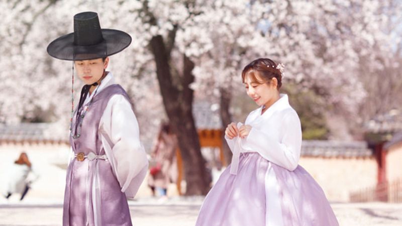 chụp ảnh hoa anh đào cùng hanbok