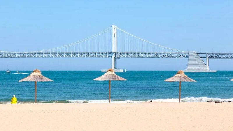 Đặt tour du lịch Busan mùa hè