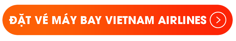 Đặt vé máy bay Vietnam Airlines tại BestPrice