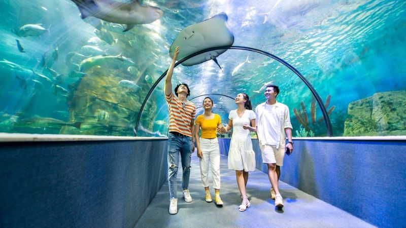 Đặt v&eacute; tại BestPrice để trải nghiệm dịch vụ tốt nhất