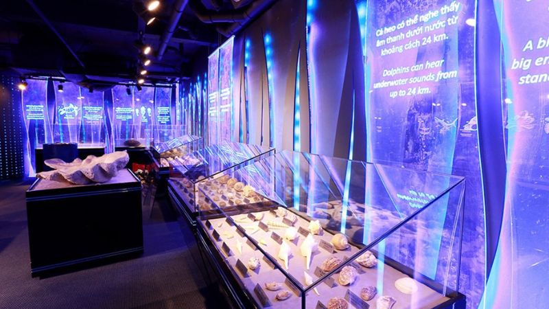 Kh&aacute;m ph&aacute; những điều l&yacute; th&uacute; tại ph&ograve;ng trưng b&agrave;y mẫu vật