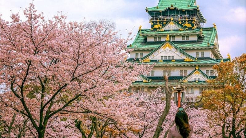 Lâu đài cổ Osaka thơ mộng