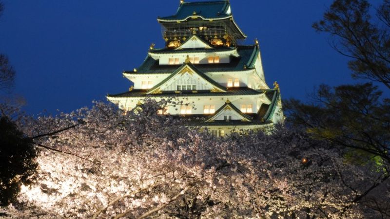 Lâu đài Osaka khi lên đèn