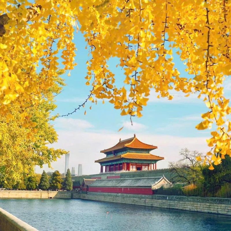 Mùa thu lá vàng Trung Quốc vô cùng rực rỡ