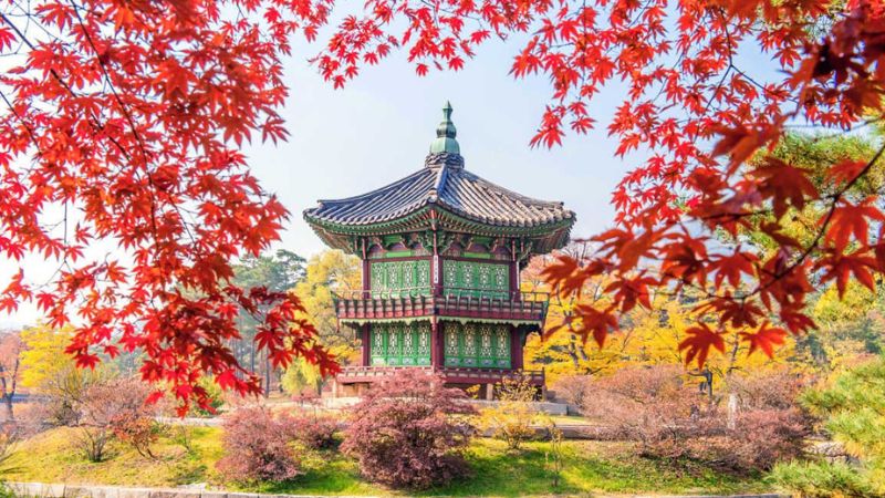 mùa thu ở gyeongbokgung
