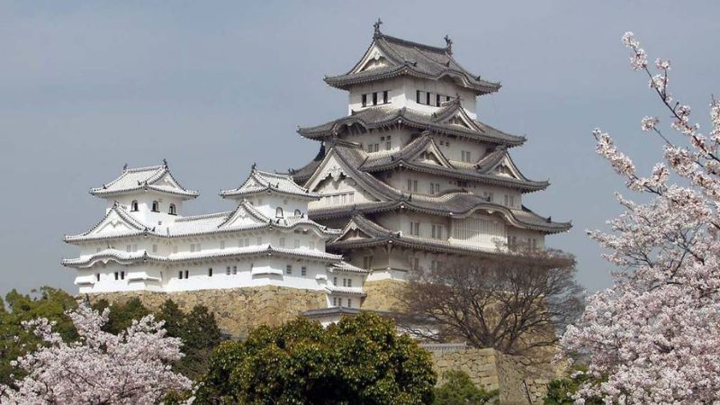 lâu đài nagoya vào mùa xuân