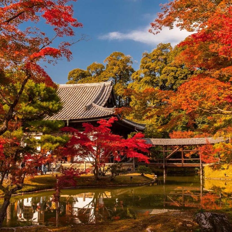 Nhật Bản siêu lãng mạn vào mùa thu