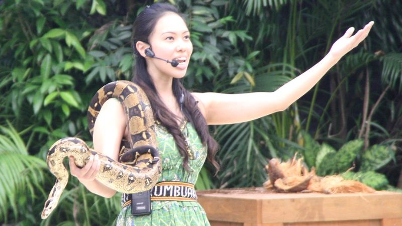 trải nghiệm độc lạ tại singapore zoo