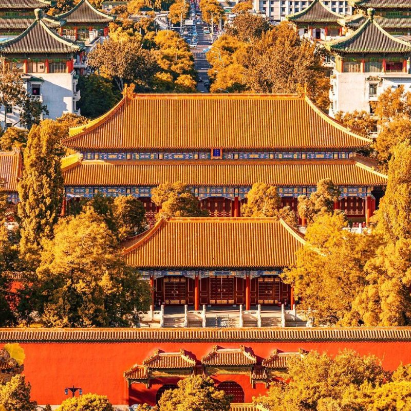 Khung cảnh lá vàng rực rỡ trong tour Trung Quốc mùa thu