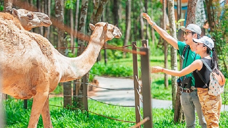 Vinpearl Safari Phú Quốc