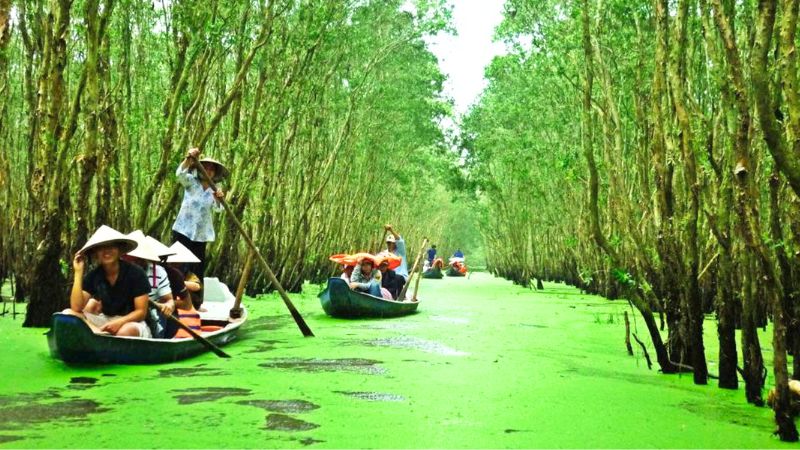 Trải nghiệm đi ghe thuyền trên Cù lao Thới Sơn