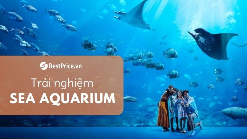 khám phá sea aquarium singapore
