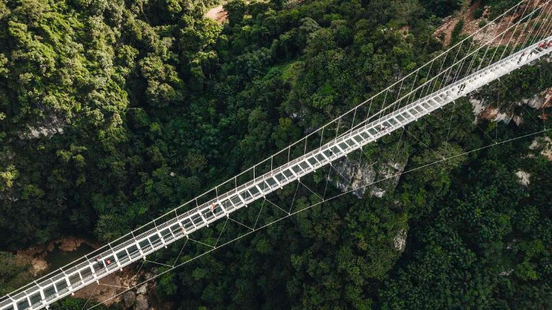 Vé tham quan cầu kính Bạch Long là 650.000đ/ người lớn