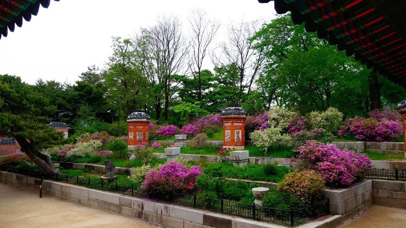 vườn thượng uyển trong khuôn viên cung điện gyeongbokgung