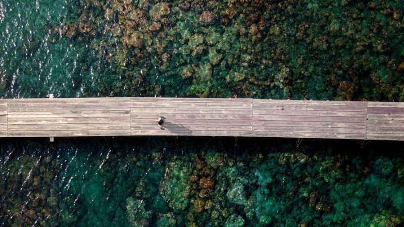 Vương quốc san hô đẹp tuyệt mỹ tại hòn Gầm Ghì