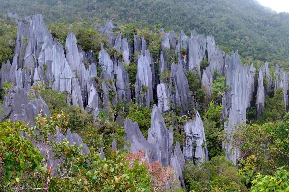 thác đá vôi tại Vườn quốc gia Gunung Mulu