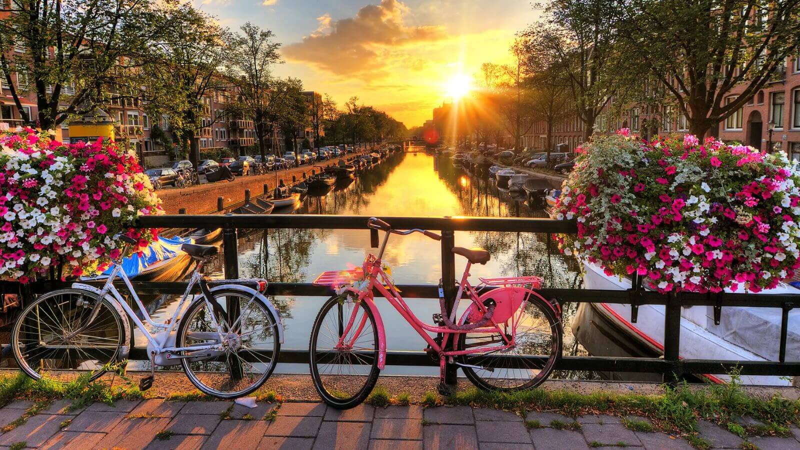 Thời điểm đẹp nhất du lịch Amsterdam 