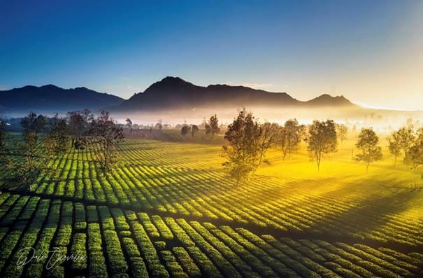 biển hồ chè