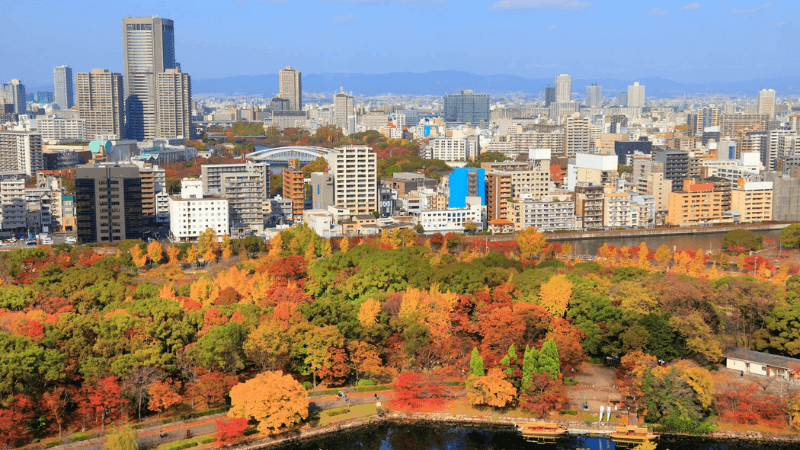 Thời điểm đẹp nhất để đi du lịch Osaka thường vào mùa xuân và mùa thu