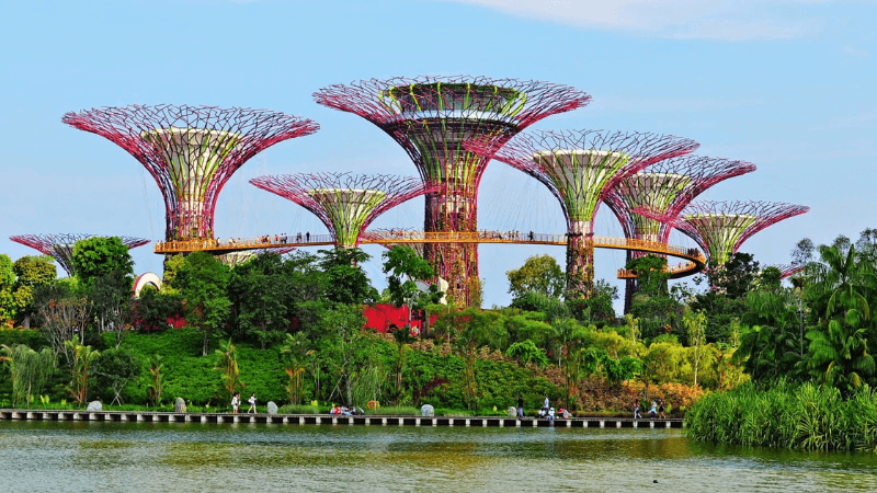 Gardens By The Bay Singapore rực rỡ