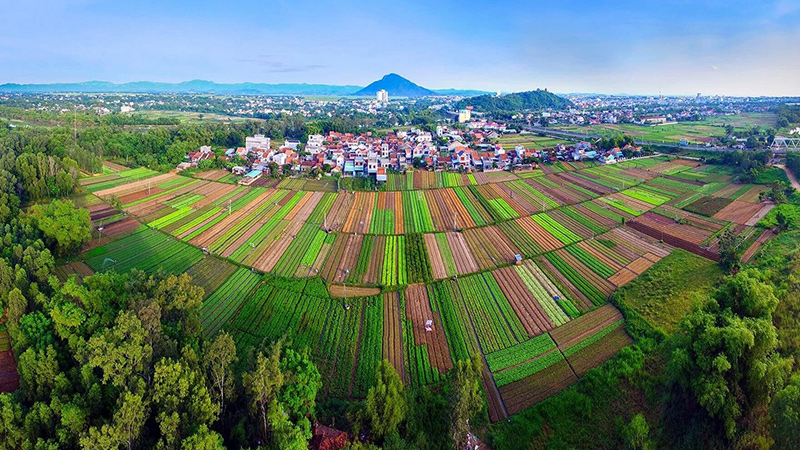 Làng rau Ngọc Lãng Phú Yên