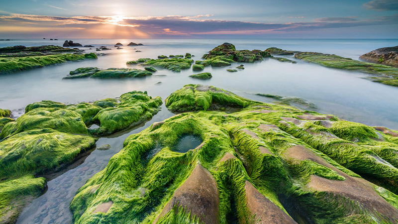 Rạn Nam Ô Đà Nẵng