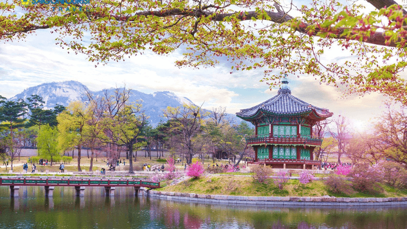Thời điểm đẹp nhất để đi Seoul là vào mùa xuân và mùa thu