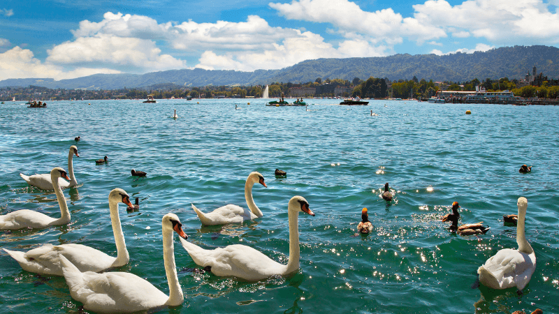 Hồ Genève thơ mộng