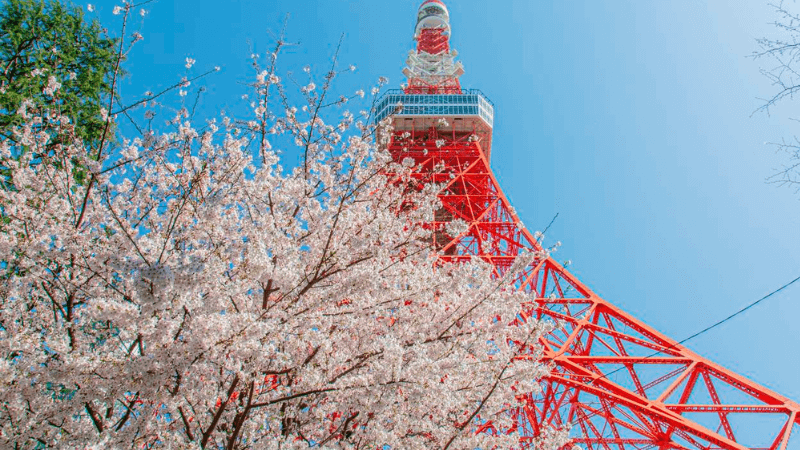 Tháp Tokyo - Biểu tượng nổi tiếng nhất Nhật Bản. 