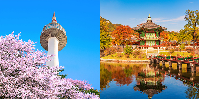 Thời điểm lý tưởng nhất để du lịch Hàn Quốc là mùa xuân và mùa thu
