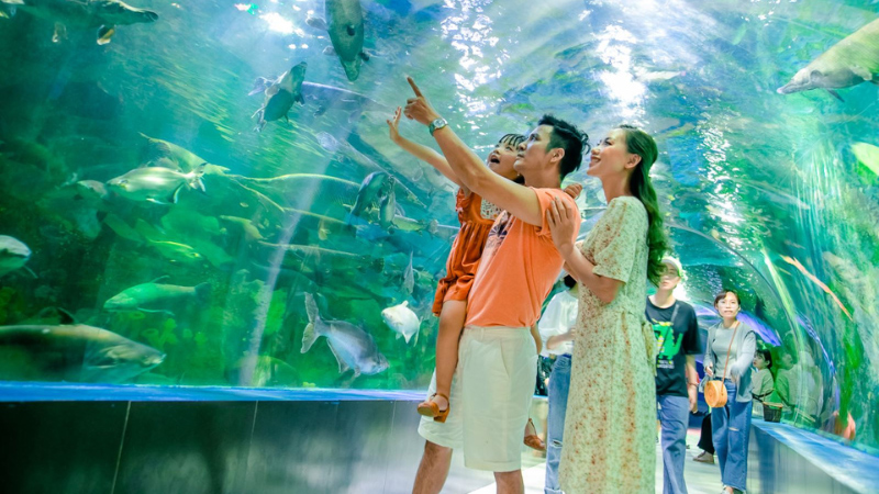 Tra vé Sài Gòn Hà Nội khám phá Thủy cung Thiên đường Bảo Sơn