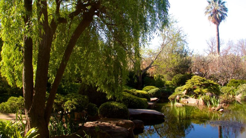 Vườn Himeji, Adelaide