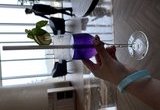 2023 05 24 11 42 IMG 8352