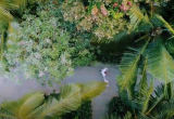 Amarin Resort Phú Quốc