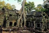 Ta Prohm