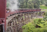Puffing Billy1