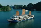sealife legend cruise