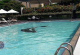Elegant Suites Westlake Serviced Residences