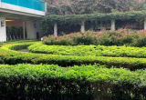 Elegant Suites Westlake Serviced Residences 5 sao