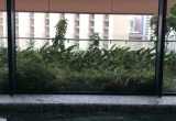 Khách Sạn Sheraton Nha Trang 3