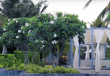 Melia Ho Tram Beach Resort 2