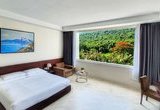 Phòng Mountain View Deluxe
