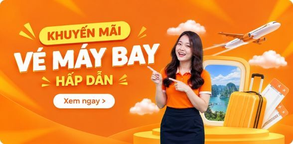 Flight Home Ad