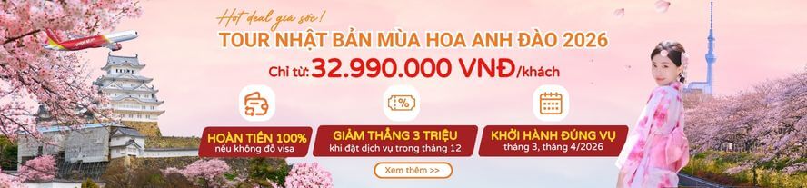 Nhật Bản - HN hoa anh đào Area 3