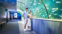 Vé Thuỷ cung Aquarium Times City