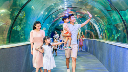 Vé Thuỷ cung Aquarium Times City